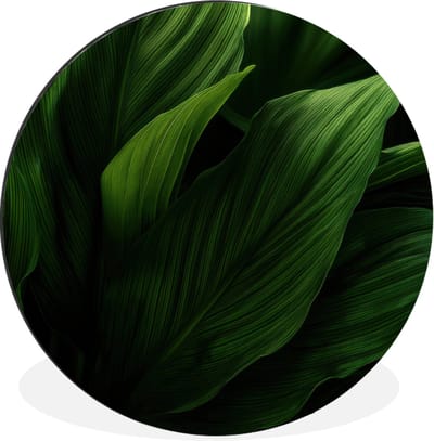 WallCircle - Wandcirkel - Muurcirkel - Bladeren - Schaduw - Groen - Textuur - Aluminium - Dibond - 30x30 cm - Binnen en Buiten