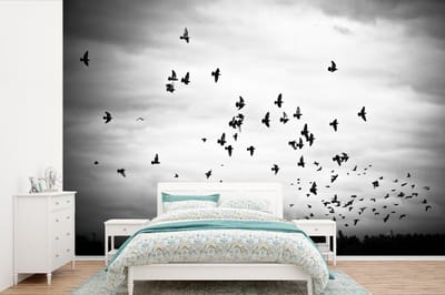 Behang - Fotobehang Dieren - Vogels - Wolken - Zwart - Wit - Breedte 360 cm x hoogte 240 cm