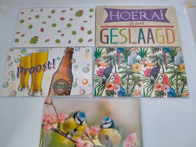 Kado Enveloppen -Geslaagd - Proost -Everyday - Geld - Voor Cadeaukaarten - Voor Cadeaubonnen 5 Stuks - 16.5 x 10 cm