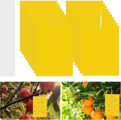 20 Stuks Gele Stickers voor Ongediertebestrijding - Effectieve Vliegenvallen voor Kamerplanten