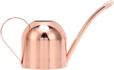 Gieter Roestvrijstaal - Waterkoker Planten - Planten Water Geven - Lange Dunne Tuit - 21.5 cm - Brons