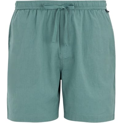 Regatta Heren Hadlin Shorts (Arctic)