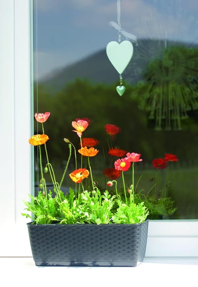 Bloempot Bloembak Ratolla P 49x17x17cm WIT Prosperplast
