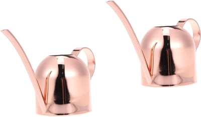 Tuin Gieter - Waterfles Planten - Binnen Buiten - Roestvrij Staal - 26x11x12 cm - Rose Goud