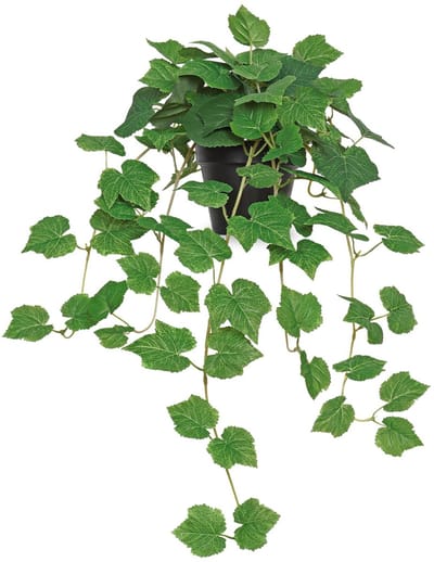 Allecto - Kunstplanten binnen - Realistische Pothos-plant - Decoratieve hangplant voor thuis - Groen - Nepplanten in potten - Geschikt voor keuken,...