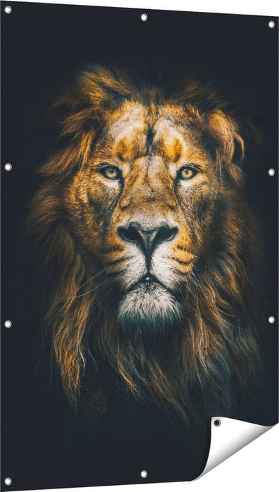 Gards Tuinposter Leeuw - Leeuwenkop - Kleur - 80x120 cm - Tuindoek - Tuindecoratie - Wanddecoratie buiten - Tuinschilderij