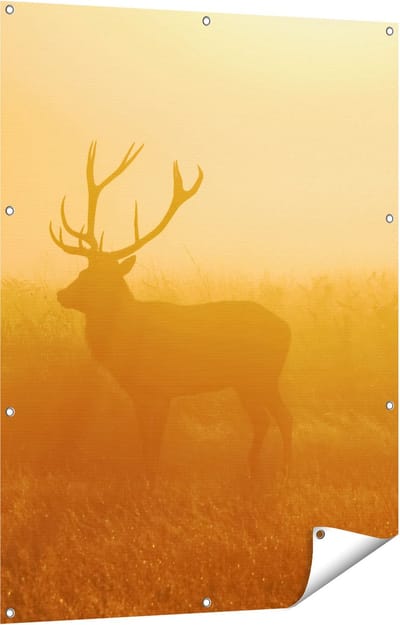 Gards Tuinposter Hert tijdens de Mist - 90x120 cm - Tuindoek - Tuindecoratie - Wanddecoratie buiten - Tuinschilderij