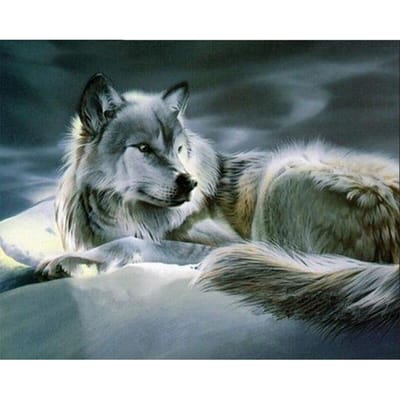Diamant schilderij kruissteek kristal technologie borduurwerk Wolf foto's handwerk kunst ambachten 20X30CM gray