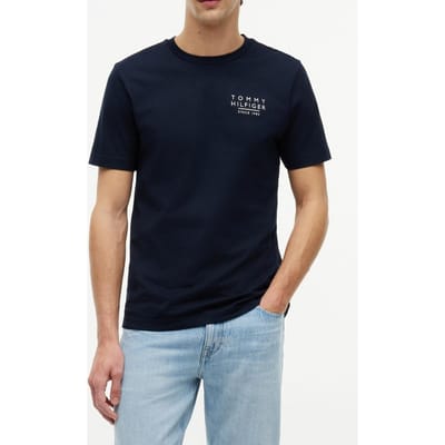 Tommy Hilfiger Americana Back Graphic Desert Sky Größe: S | Bedruckte T-Shirts Outlet | Herren
