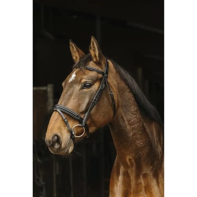 Hoofdstellen Norton Pro Apophyse