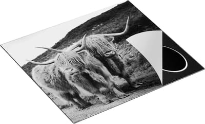 Chefcare Inductie Beschermer Twee Schotse Hooglanders op de Weg - Zwart Wit - 60x50 cm - Afdekplaat Inductie - Kookplaat Beschermer - Inductie Mat