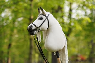 Hobby Paard - Paard aan stok - Paardrijden oefenen - 100% Handgemaakt - 98 cm hoog - Palomino