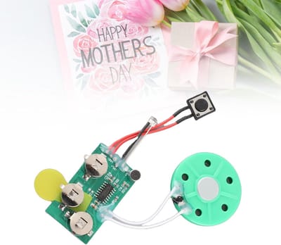 Dailygoods- Stemkaart 60 Seconden Opname - DIY Wenskaart - Geluidsmodule - Lichtgevoelig - Geschikt voor Geschenken - Eenvoudige Bediening