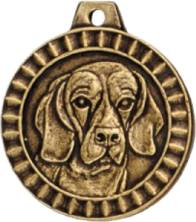 Hondenpenning Rashond Beagle