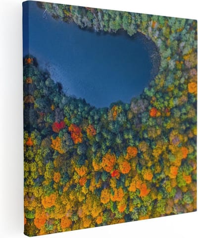 Artaza Canvas Schilderij Herfstbos - 80x80 cm - Wanddecoratie Landschap - Muurdecoratie Bos - Schilderijen Op Canvas Natuur