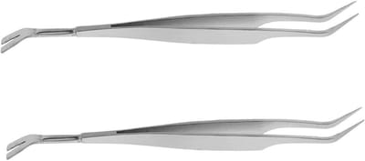 Pincet en Kam Set - Tekenverwijderaar Huisdier - Huisdier Verzorging - Roestvrij Staal - 14 cm - Zilver