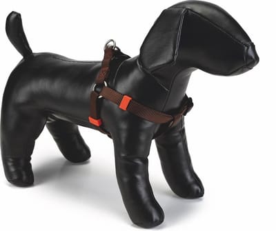 Beeztees nylon borsttuig uni donkerbruin 60-100 cm x 25 mm