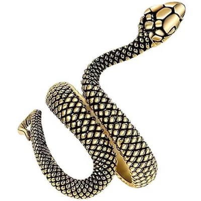Retro Slang Ring Zwarte Kleur Verstelbare Roestvrij Staal Ringen voor Vrouwen Mannen Vintage Punk Hip Hop Bandjes Sieraden Accessoires Cadeau resizable