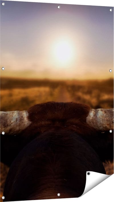 Gards Tuinposter Stierenhoorns bij Zonsondergang - 80x120 cm - Tuindoek - Tuindecoratie - Wanddecoratie buiten - Tuinschilderij