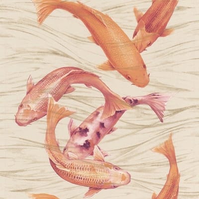 Koi karper behang 781007