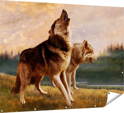 Gards Tuinposter Twee Wolven op het Gras - 160x120 cm - Tuindoek - Tuindecoratie - Wanddecoratie buiten - Tuinschilderij