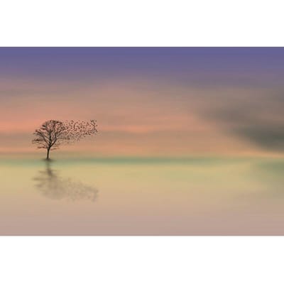 5D Diamond Painting Boomlandschap Diamantborduurwerk Obscure Landschap Kruissteek 20X30CM gray
