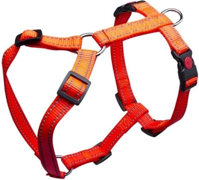 De-Tail Harnas Nylon 15 mm x 30-50 cm in camouflage of oranje reflectie Oranje