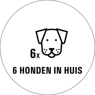 Honden in huis sticker - 80 x 80 mm 6