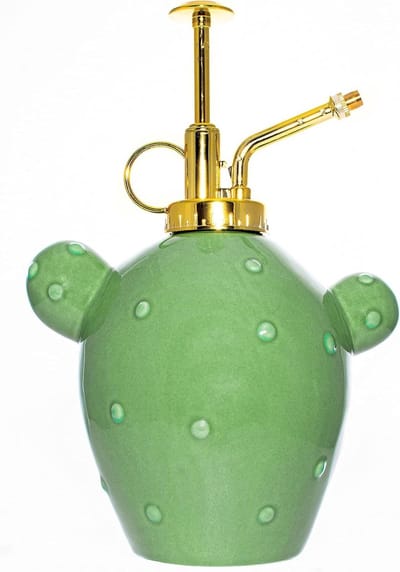 Plantenspuit Cactus - Bewateringsspuit Keramiek - Planten Verzorgen - Origineel Design - 500 ml - Groen
