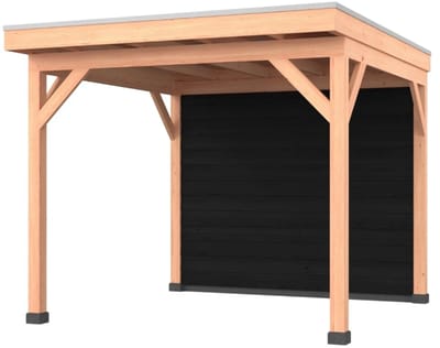 Douglas overkapping, 300 x 300, met achterwand, Westwood Comfort Plus Zwart