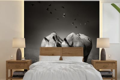 Behang - Fotobehang Neushoorn - Vogel - Dieren - Landschap - Zwart wit - Breedte 350 cm x hoogte 350 cm