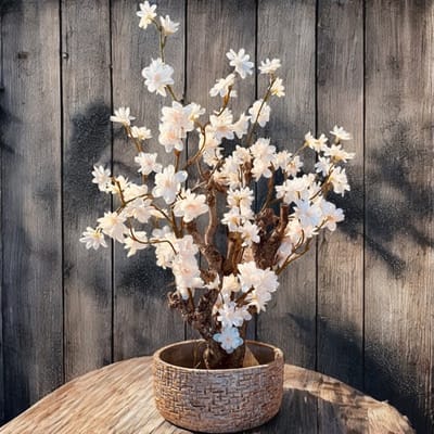 Kunstbloesemboom Crème Peach Champagne - Echte Houten Stam - Handgemaakt - 50 cm - Seta Fiori