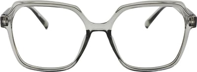 VERTEBRIL Mira - Sterkte -1.00 - Kleur Silver - GEEN leesbril – Unisex bril voor veraf - Moderne uitstraling - Groot en robuust montuur – Aangename pasvorm – Kwalitatieve min-glazen – Flexveren – Myopie/bijziendheid - Inclusief etui en doekje
