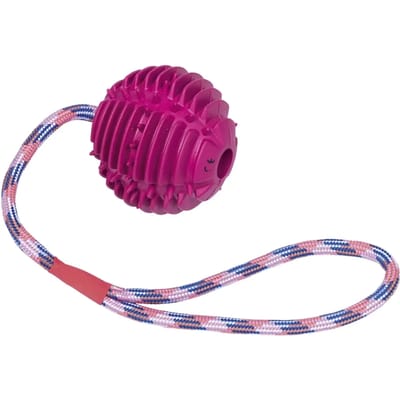 Rubberen bal met touw voor honden Nobby Pet