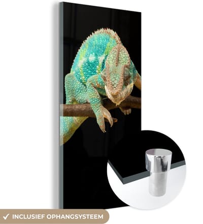 MuchoWow® Glasschilderij 20x40 cm - Schilderij acrylglas - Kameleon - Tak - Pastel - Foto op glas - Schilderijen