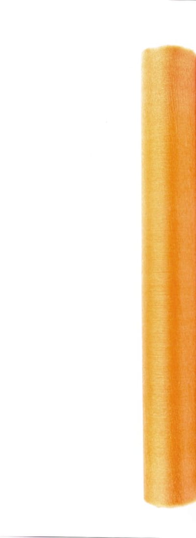 PartyDeco - Organza snow gold (9 mtr)