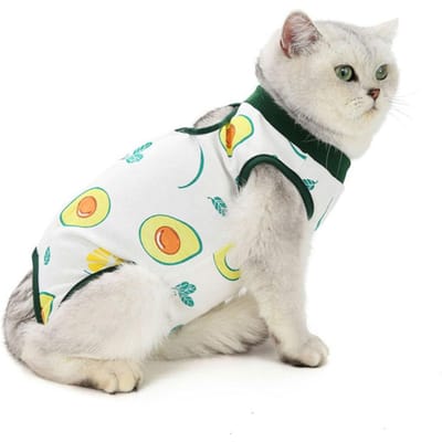 Combinaison de Récupération Chirurgicale Professionnelle pour Chat Idéale pour Chats Chiens Alternative à la Collerette pour Chatons Chiots Bandes Corporelles Vêtements Respirants pour Animaux de Compagnie Haute Qualité XL vert avocat