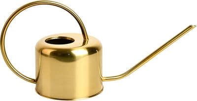 Gieter - goudkleurig - retro - 900 ml - 36 cm - plantengieter