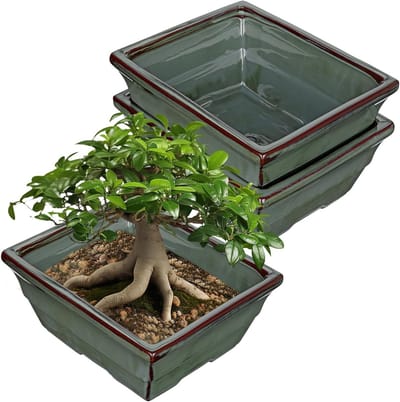 Bonsai potten set van 2 - keramisch - met drainagegaten - geschikt voor Japanse bonsai - SnelShoppen