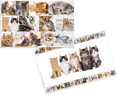 Bureauonderlegger Dieren en Katten Motief - 3 stuks - afwasbare onderleggers 55 x 35 cm