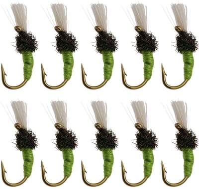 Dailygoods- Vishaken 10 Stuks - Kunstaas voor Vissen - Flexibel/Nano-Materiaal - Compact 5x11 mm - Geschikt voor Zoetwatervissen - Aantrekkelijk Insecten Effect