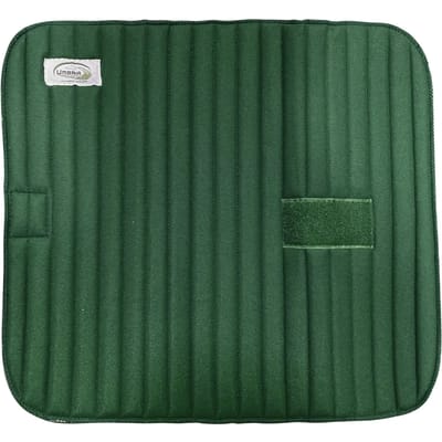 Bovenbanden met padding voor paarden Umbria Equitazione