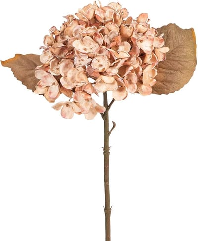 Hortensia oud roze Ø15x33cm
