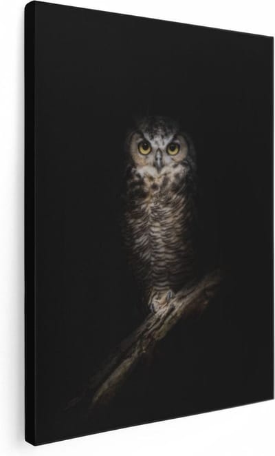 Artaza Canvas Schilderij Dierenkop Uil - 30x40 cm - Klein - Wanddecoratie Dieren - Muurdecoratie Vogel - Kamer Accessoires