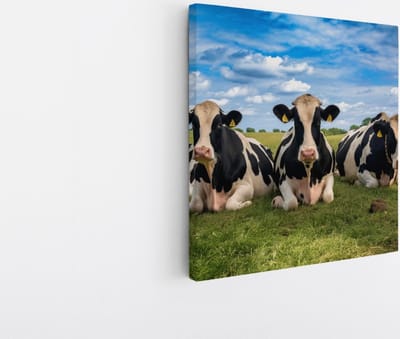 Saammp Canvas Schilderij - Groep koeien - Natuur - Dieren - 20x20 - Foto op canvas - Wanddecoratie - Muurdecoratie Woonkamer - Slaapkamer decoratie - Canvas Print