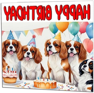 Verjaardagskaart Cavalier King Charles - Hondenkaart Bday - Verjaardag Vieren - Gedrukt in Engeland - 145 x 145mm - Wit