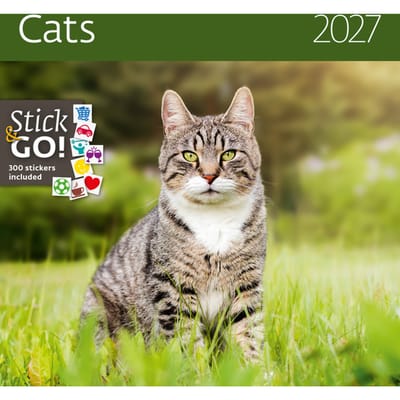 Kalender 2027 Helma 365 30x30cm katten