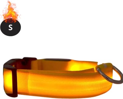 Bovista Lichtgevende Halsband - Verlichte Halsband - Lichtgevend - Hond - Kat - Lampje - Hondenhalsband Led - Oranje - S