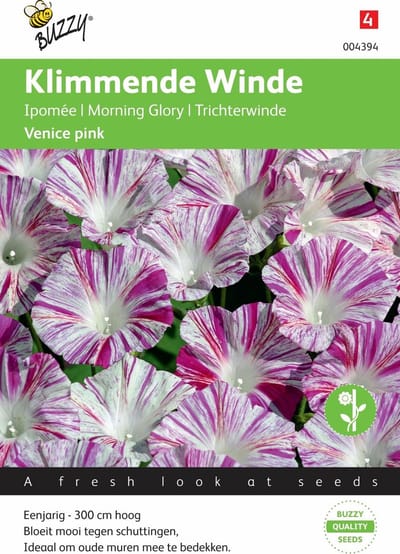 Buzzy® Ipomoea Tricolor Venice Pink