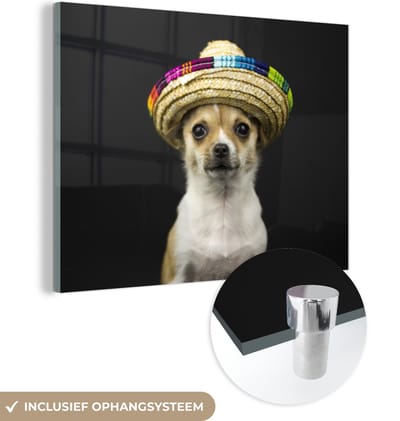 MuchoWow® Glasschilderij 160x120 cm - Schilderij acrylglas - Hond - Sombrero - Zwart - Foto op glas - Schilderijen
